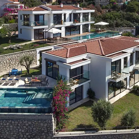 Panoramic Retro Villa