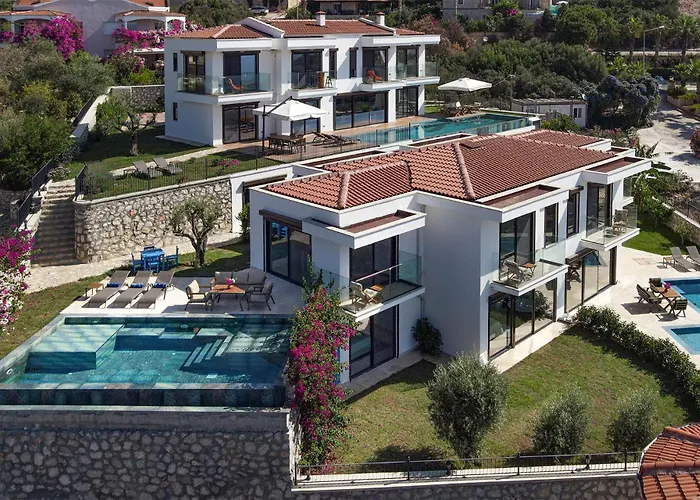 Panoramic Retro Villa